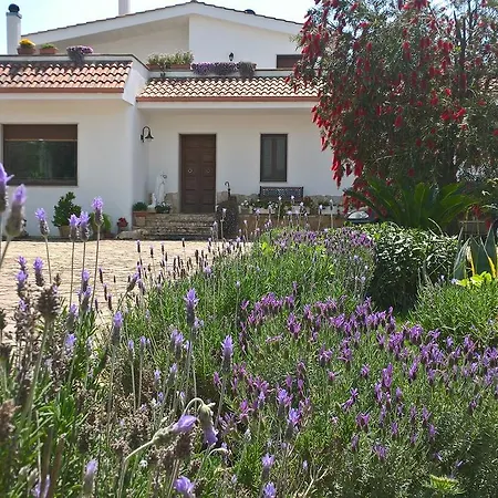 Vakantiehuis Le More Holiday