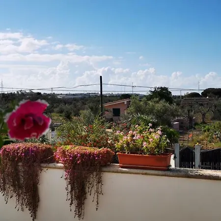 Casa vacanze Le More Holiday *