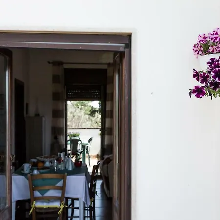 Le More Holiday Vakantiehuis